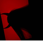 devil group!!!