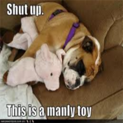 funny dog picture Roblox decal