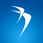 BlueAir TM