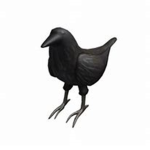 Crow sqaud