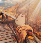 Kit-Cats <3