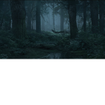 Woods.