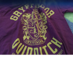 Hogwarts staff and houses
