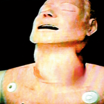 undisput3d .