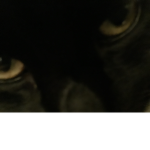 I aM WaTcHInG You...