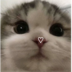 xXPeachyPieXx Group Thumbnail