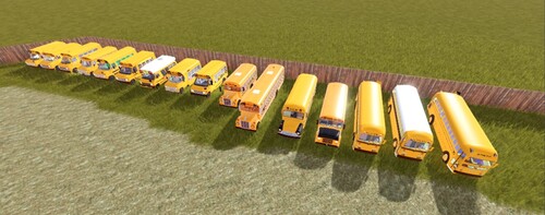  School Bus 85s 
