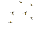 Bees