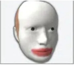 ender fire robux maker
