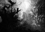 Dark Crow Fam