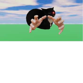 Maxwell obby