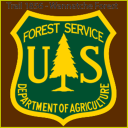Forest Trail 1856