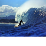 Roblox Surfing Community