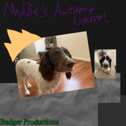 Maddie's Awesome game!