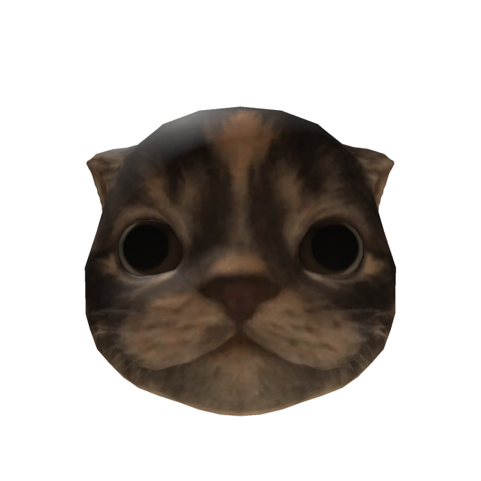 Little Kitten Head