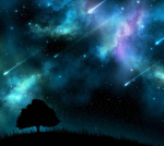 StarFall Haven