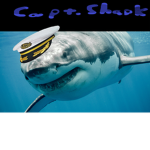 Captain shark's group