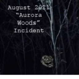 Unsolved August 2021 "Dark Woods"