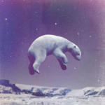 Night bear flyers