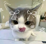 Cutejojo2828