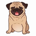 Pugs rule fan group