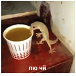 Тяп тяп тяп
