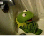 Kermit yes