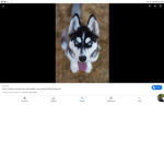 SnowHusky group