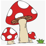 Mushroom Morrowz