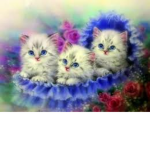 The Kitty Cat Club! <3