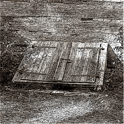 The Basement