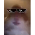 It’s_GRACIE Roblox fan group
