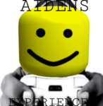 Aiden's Experiences