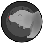 RatsStudioUltimate