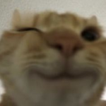R0$ES