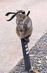 4628