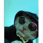 -~Dj cat~-