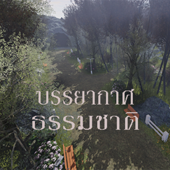 บรรยากาศ ธรรมชาติ🌼