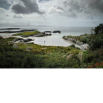 Ringkerry
