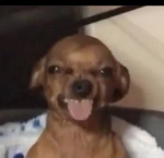 Pookie <3
