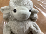 the BABA sheep group