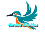 Birdee Studios