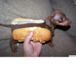 glizzy dog