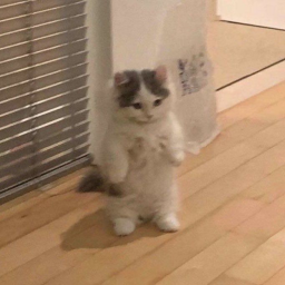 ♡