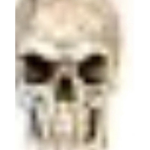 G4RF1ELD_