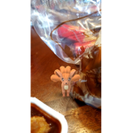 Vulpix fans
