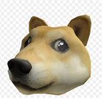 Doge is the king of all lands