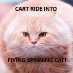 Cart Ride Into Flying Spinning Cat!