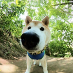 잼민이의 인생