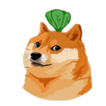 Carrot Doge